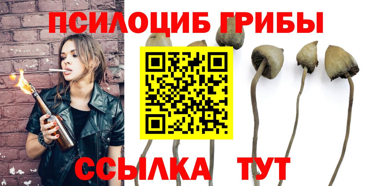 Псилоцибиновые грибы мицелий  Псилоцибиновые грибы мицелий  Ялуторовск  Вход с VPN 