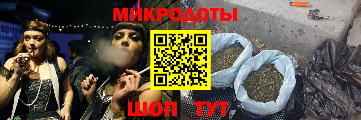 Галлюциногенные грибы Psilocybe Ялуторовск